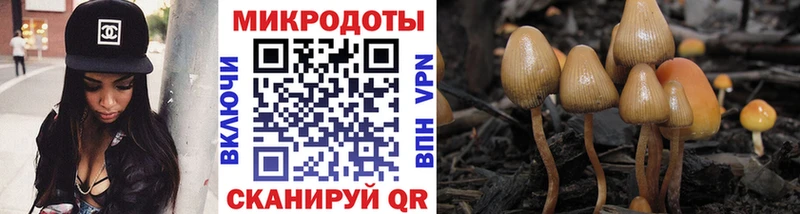 Псилоцибиновые грибы MAGIC MUSHROOMS  Фролово 